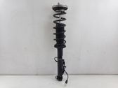 Rear shock absorber with coil spring