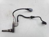 AdBlue injector