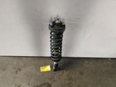 Rear shock absorber with coil spring