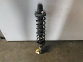Rear shock absorber with coil spring