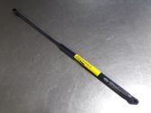 Tailgate/trunk strut/damper