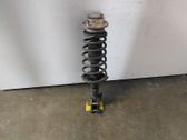 Front shock absorber with coil spring