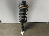 Rear shock absorber with coil spring