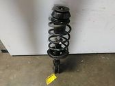Front shock absorber with coil spring