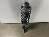 Rear shock absorber with coil spring