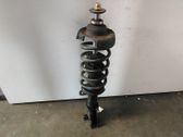 Front shock absorber with coil spring