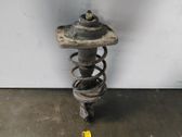 Front shock absorber with coil spring