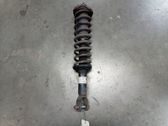 Rear shock absorber with coil spring