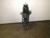 Rear shock absorber with coil spring