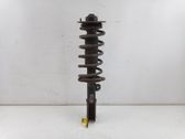 Front shock absorber with coil spring