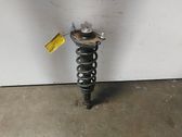 Rear shock absorber with coil spring