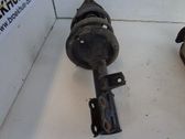 Front shock absorber with coil spring