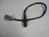 Sonde lambda