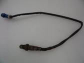 Sonde lambda