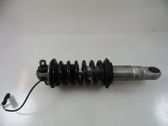 Front shock absorber with coil spring