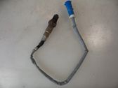 Sonde lambda
