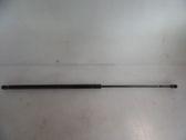 Tailgate/trunk strut/damper