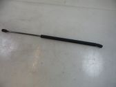 Tailgate/trunk strut/damper