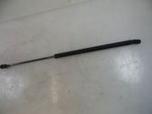Tailgate/trunk strut/damper