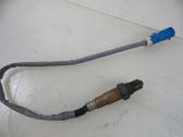 Sonde lambda