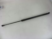 Tailgate/trunk strut/damper