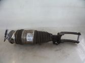 Front shock absorber with coil spring