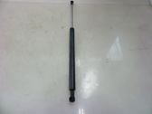 Tailgate/trunk strut/damper