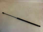 Tailgate/trunk strut/damper
