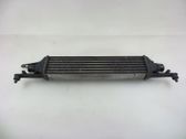 Intercooler radiator