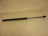 Tailgate/trunk strut/damper