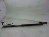 Tailgate/trunk strut/damper