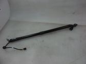 Tailgate/trunk strut/damper