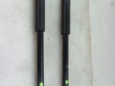 Set of springs and shock absorbers (Front and rear)