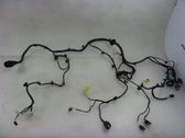 Other wiring loom