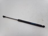 Tailgate/trunk strut/damper
