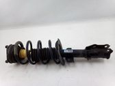 Front shock absorber with coil spring