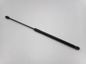 Front bonnet/hood damper/strut