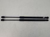 Engine bonnet/hood prop rod/strut
