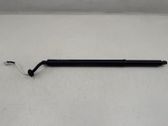 Tailgate/trunk strut/damper
