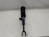 Front shock absorber with coil spring