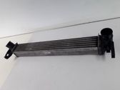 Intercooler radiator