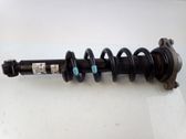 Rear shock absorber with coil spring