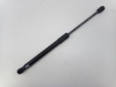Front bonnet/hood damper/strut