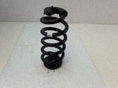 Muelle espiral trasero