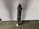 Rear shock absorber with coil spring