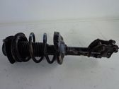 Front shock absorber with coil spring