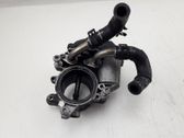Throttle body valve