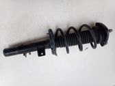 Amortiguador delantero con muelle espiral
