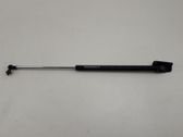 Tailgate/trunk strut/damper
