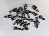 Nuts/bolts